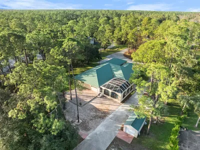 Natural Tree Integration into the backyard